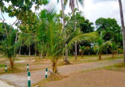 Kadawata Land For Sale