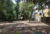 Land for sale in Nawala