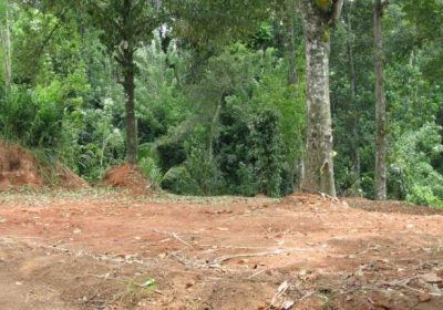 Land For Sale In Ampitiya Kandy
