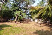Bolgoda land for sale