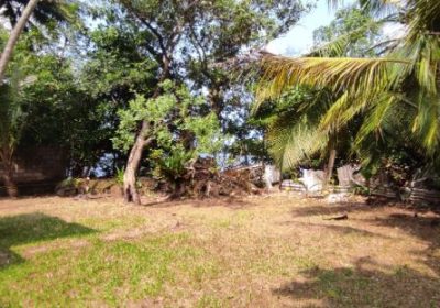 Bolgoda land for sale
