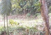Homagama-Mullegama Land for Sale