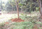 Homagama-Mullegama Land for Sale