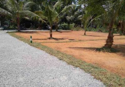 Homagama Land Plots for sale