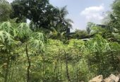 Residential Land For Sale From Homagama