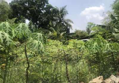 Residential Land For Sale From Homagama