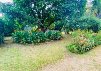 Land For Sale In Kelaniya Waragoda
