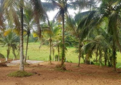 Meegoda land for sale