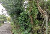 Bare land for sale in Meegoda