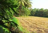 Land For Sale In Minuwangoda