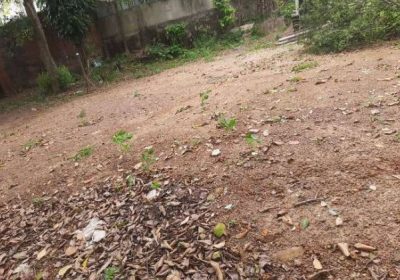 Land for sale in Nawala