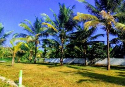 Land for sale in Homagama