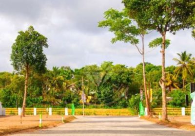 Land For Sale In Piliyandala