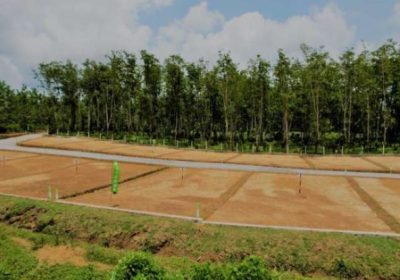 Land For Sale In Near Homagma