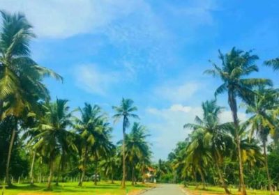 Land for sale in Yakkala