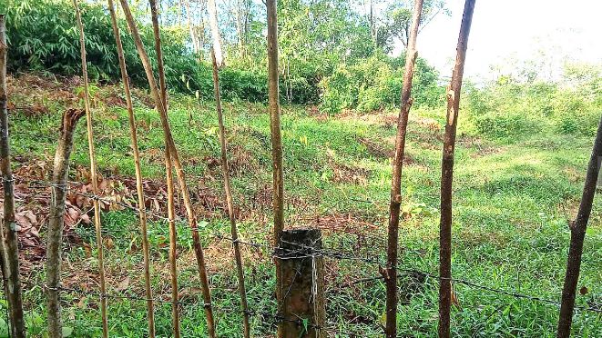 Land for Sale in Homagama Pitipana