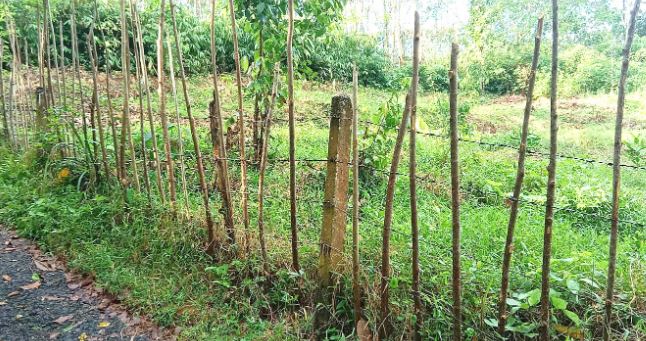 Land for Sale in Homagama Pitipana
