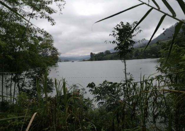 Land For Sale Facing Castlereagh Reservoir