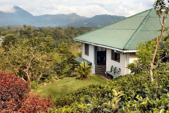 Luxury house with 3.5.Acres Tea Plantation for sale
