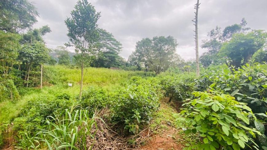 80 perches bare land for sale in kadugannwa