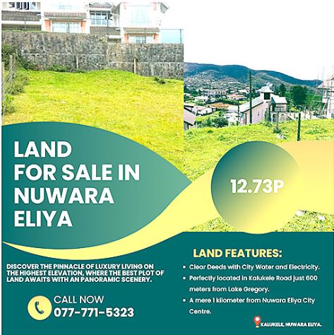 Nuwara Eliya Land for Sale