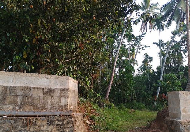 Kandy Land for Sale