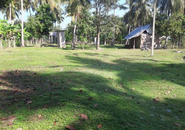 Kurunagala coconut land for sale
