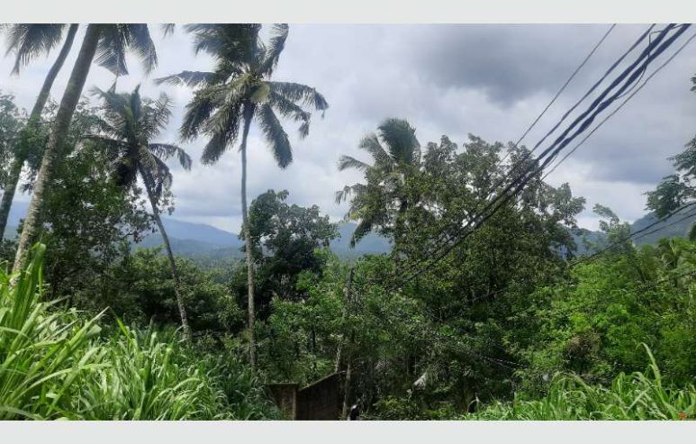 Land For Sale In Matale