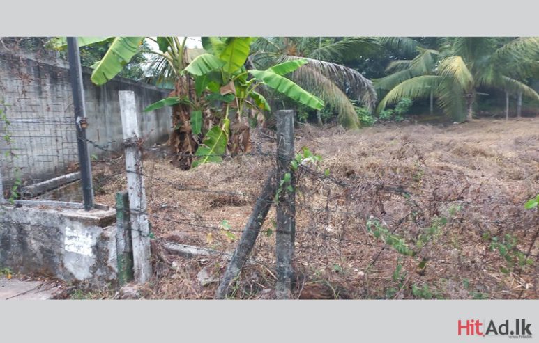 Homagama land for sale