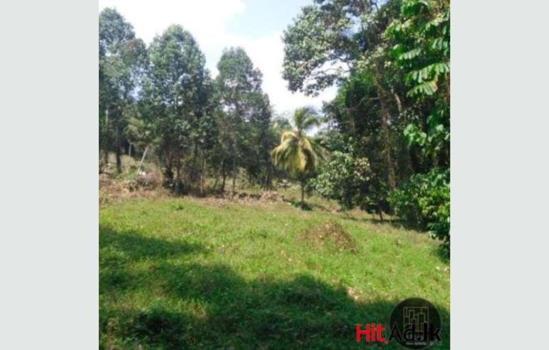 Land For Sale In Matale