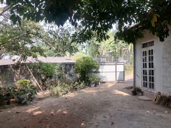 Land with House for urgent sale Hanwella Pahathgama (Only Land price/Negotiable)