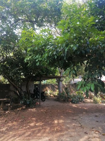 Land with House for urgent sale Hanwella Pahathgama (Only Land price/Negotiable)