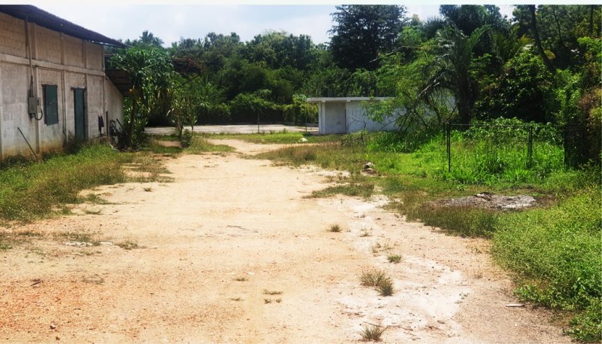 Dambulla Flat land Property for Sale