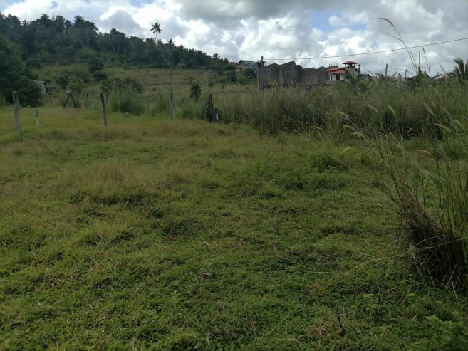 Land for sale horana