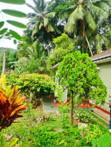 House For Rent in Rattota Matale